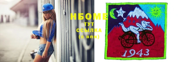 гашик Пересвет