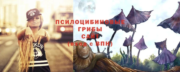 гашик Пересвет