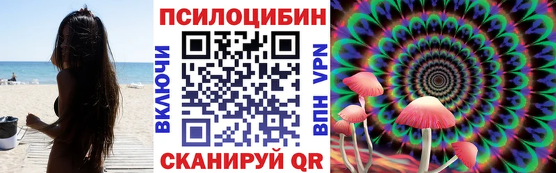 Псилоцибиновые грибы Psilocybe  Закаменск 